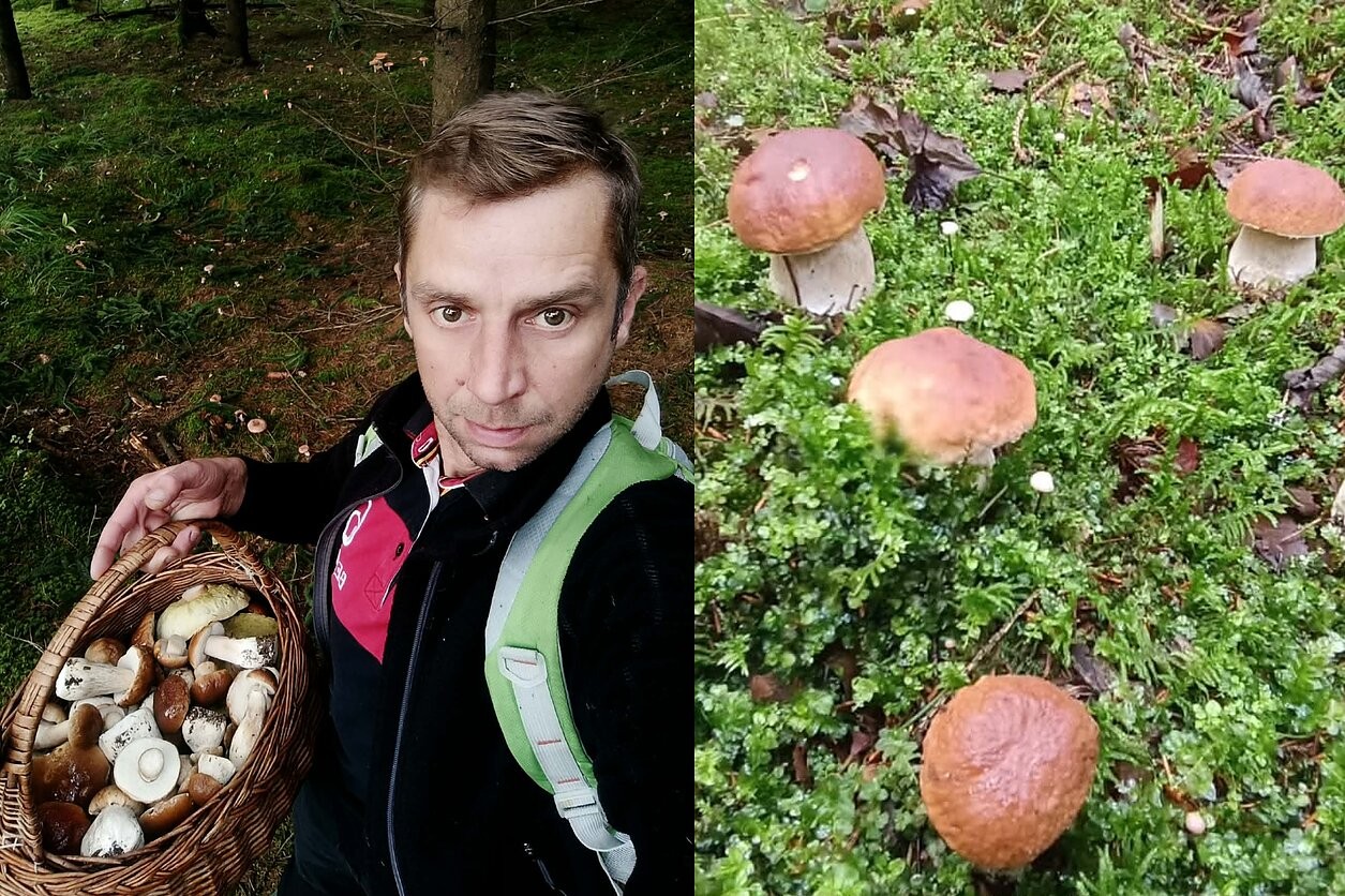 Baravykų karalius iš Panevėžio: 250 km per sezoną ir 160 kg grybų
